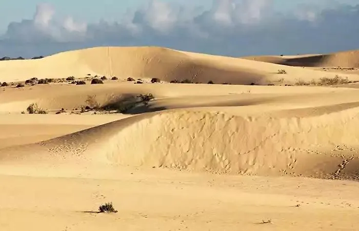 Ocean Bliss Apartment *